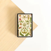 Lucy Lu Slide Box with Peppermints: Succulent Nursery Garden-ESSE Purse Museum & Store