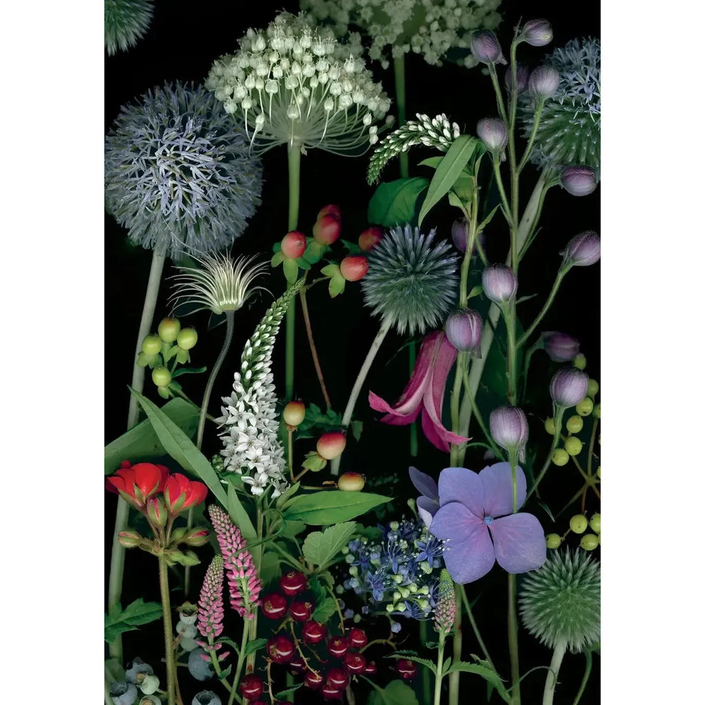 Pomegranate Birthday Card: Deb Stoner, Allium, Gooseneck Loosestrife, and Red Currants-ESSE Purse Museum & Store