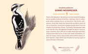 Pomegranate Knowledge Cards: Birds-ESSE Purse Museum & Store