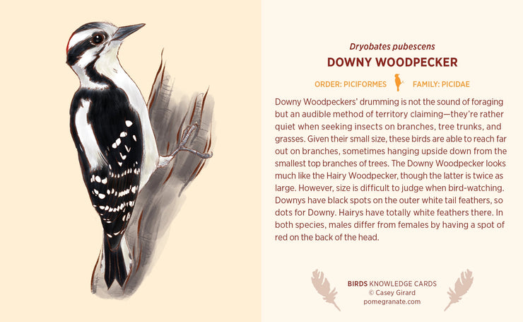 Pomegranate Knowledge Cards: Birds-ESSE Purse Museum & Store