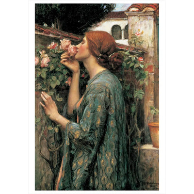 Pomegranate Note Card: John William Waterhouse, The Soul of the Rose-ESSE Purse Museum & Store