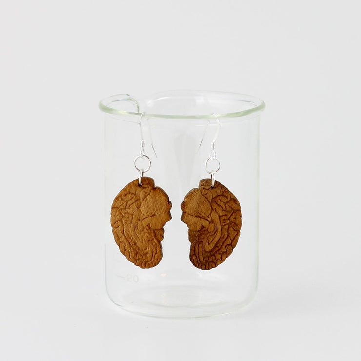 Sorcery Science Earrings: Anatomical Brain-ESSE Purse Museum & Store