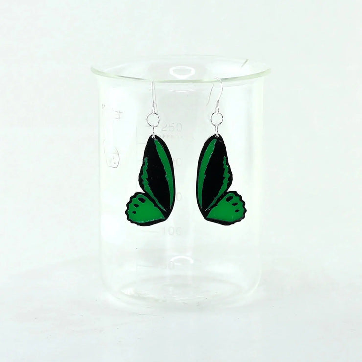 Sorcery Science Earrings: Common Green Birdwing-ESSE Purse Museum & Store