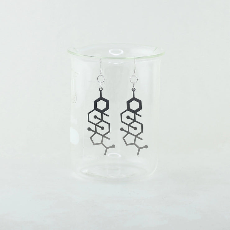 Sorcery Science Earrings: Progesterone Molecule Dangles-ESSE Purse Museum & Store