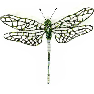 Trovelore Brooch: Southern Hawker Dragonfly-ESSE Purse Museum & Store