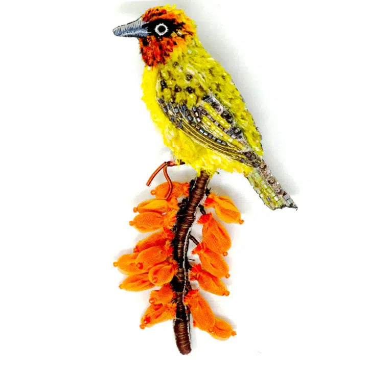 Trovelore Brooch: Cape Weaver-ESSE Purse Museum & Store