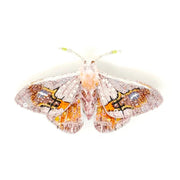 Trovelore Brooch: Drepanid Moth-ESSE Purse Museum & Store