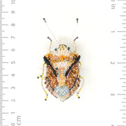 Trovelore Brooch: European Shield Bug-ESSE Purse Museum & Store
