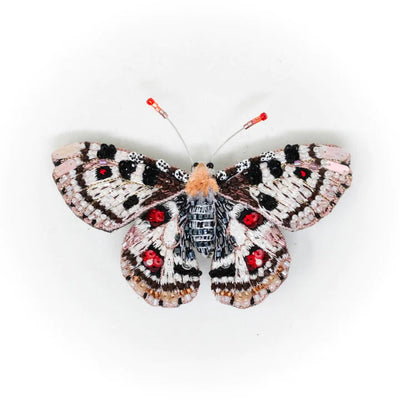 Trovelore Brooch: False Apollo Butterfly-ESSE Purse Museum & Store