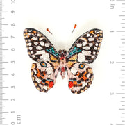 Trovelore Brooch: Lime Swallowtail Butterfly-ESSE Purse Museum & Store