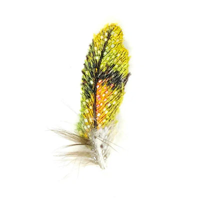 Trovelore Brooch: Old World Parrot Feather-ESSE Purse Museum & Store