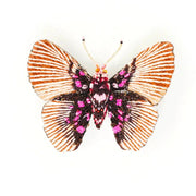Trovelore Brooch: Variable False Acraea Butterfly-ESSE Purse Museum & Store