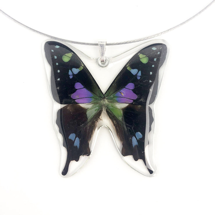 Petal Connection Necklace: Whole Butterfly-ESSE Purse Museum & Store